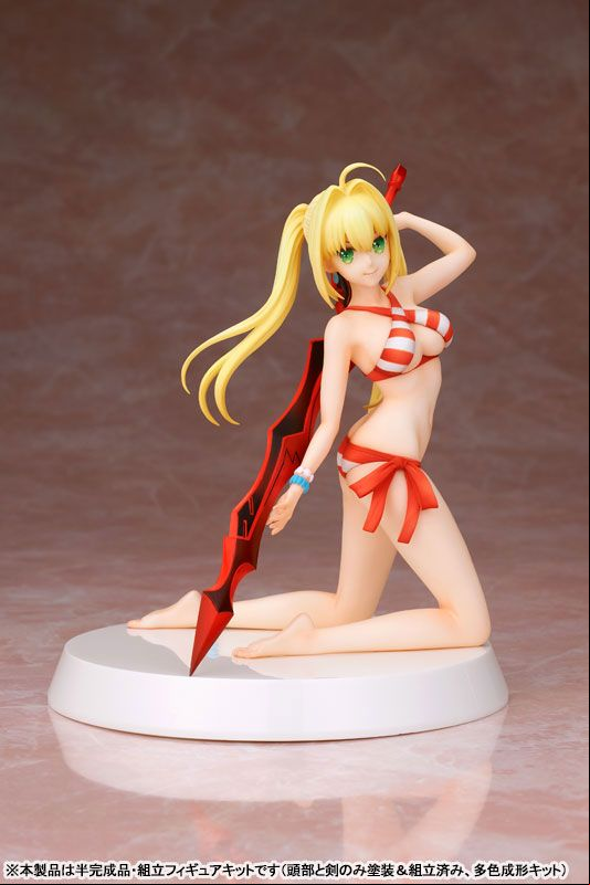 Manga - Manhwa - Caster/Nero Claudius - Summer Queens - Our Treasure