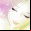 ikuko