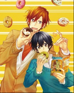 Sasaki_et_Miyano_visuaal_1